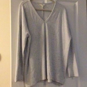 Terra Sky Brand New Long Sleeve Flowy Tunic